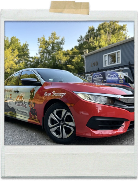 Dynamic Signs and Designs